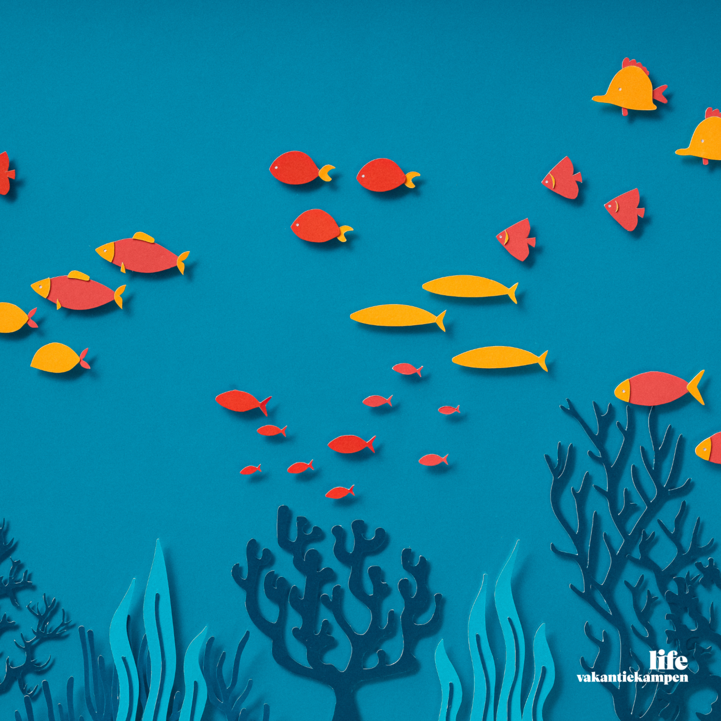 Onderwaterwereld kids