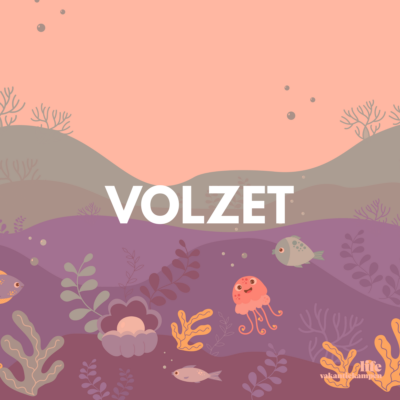 Bezetting zomer 2 kids