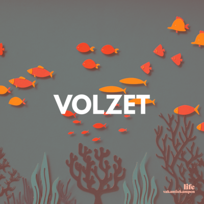 Bezetting zomer 2 kleuters