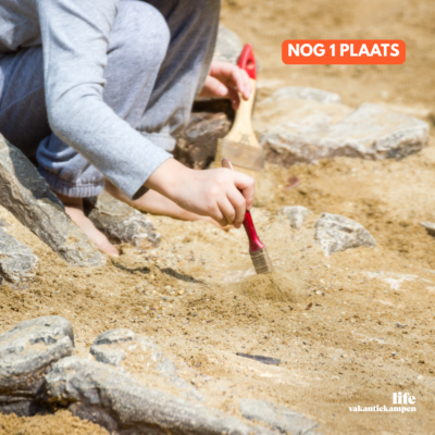 Update bezetting kampen website 1