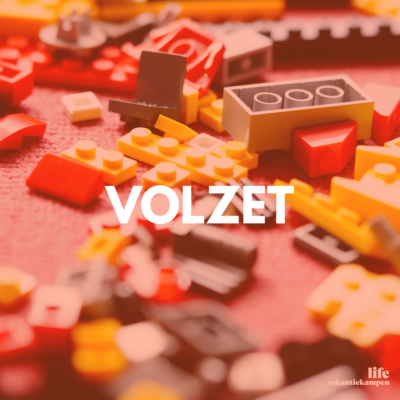 Update bezetting kampen website